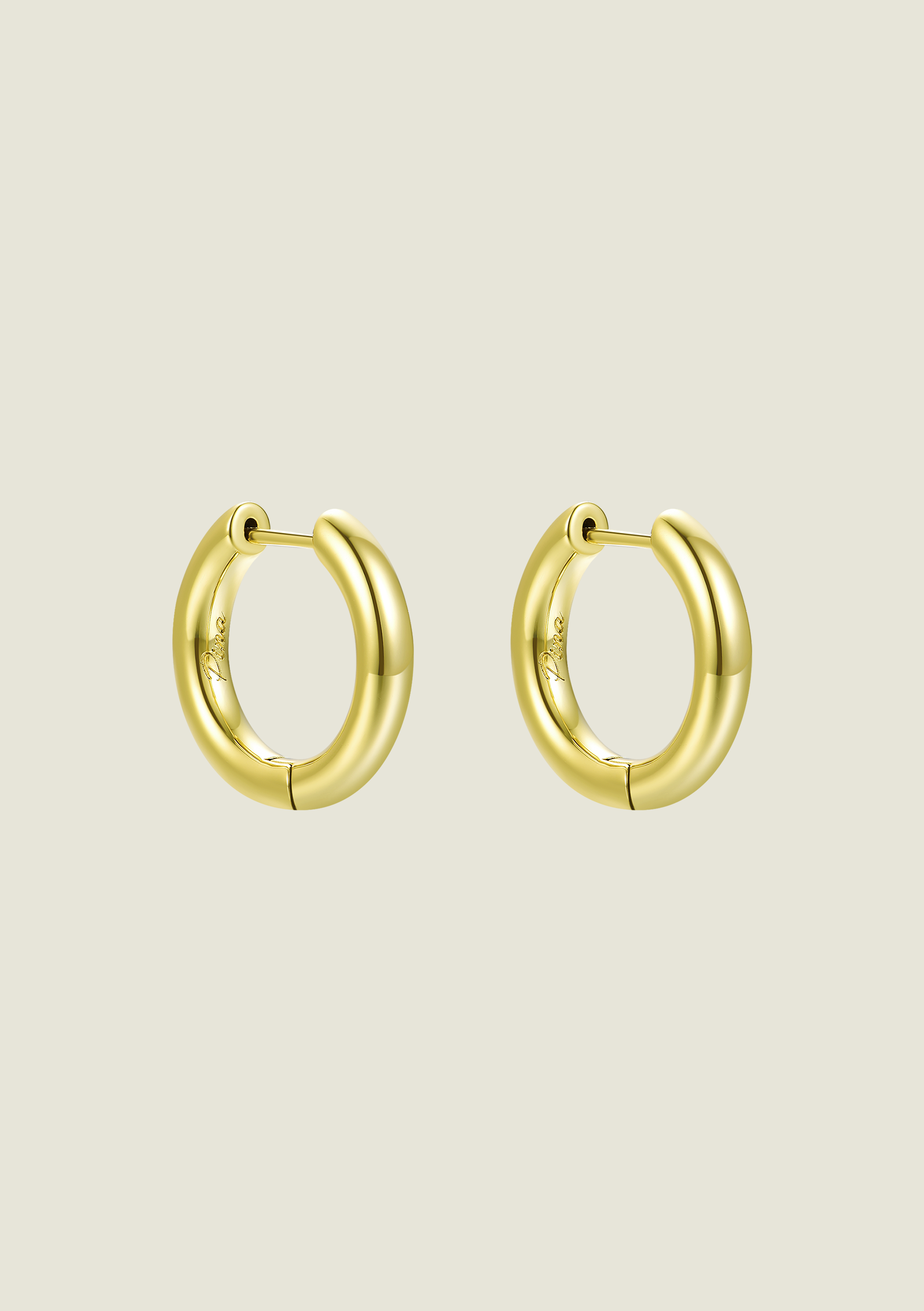 Large Gold Hoops