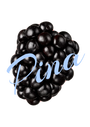 Pina Jewels